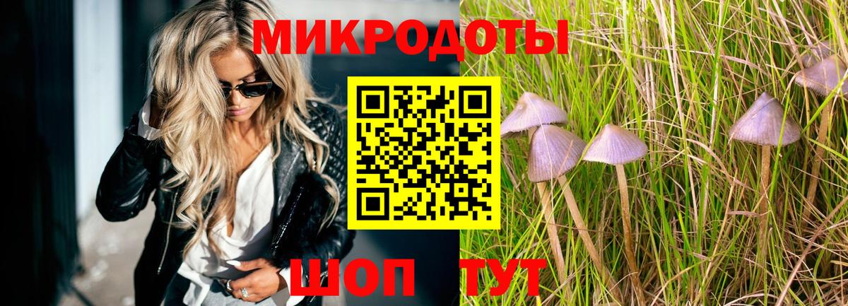 Псилоцибиновые грибы GOLDEN TEACHER  Вход с VPN  Фролово 